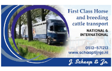 schaap